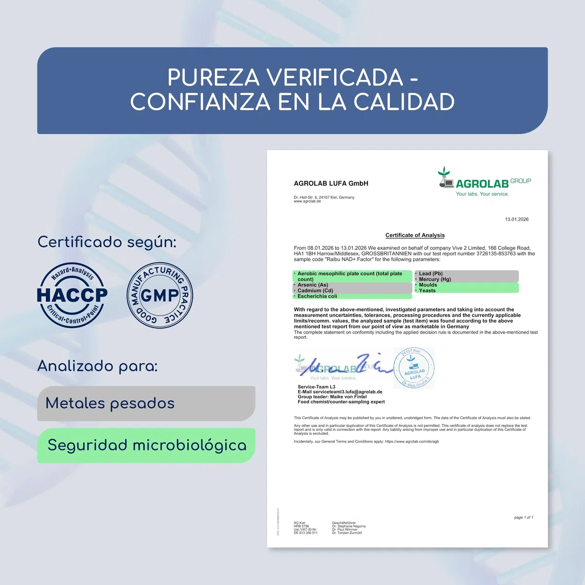NAD+ 100% Puro, 300 mg de Nicotinamida Ribósido (NR) por Cápsula - Suministro para 4 MESES - Anti-Edad y Fatiga, NAD Booster - Sin Agentes Separadores, Sin Gluten, Vegano - 120 Cápsulas