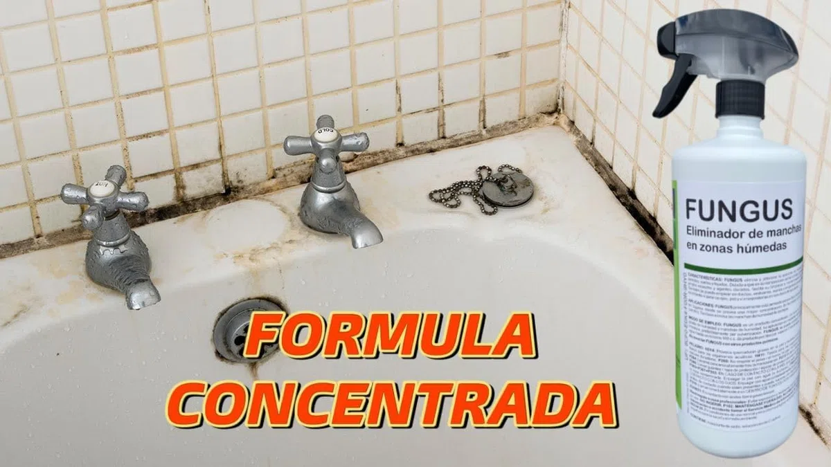 Eliminador de Manchas en Zonas Húmedas – Limpiador de Moho, Musgo y Hongos para Paredes, Baño, Techos y Superficies – Apto para Superficies Delicadas y Duras – Botella Pulverizadora de 1 Litro