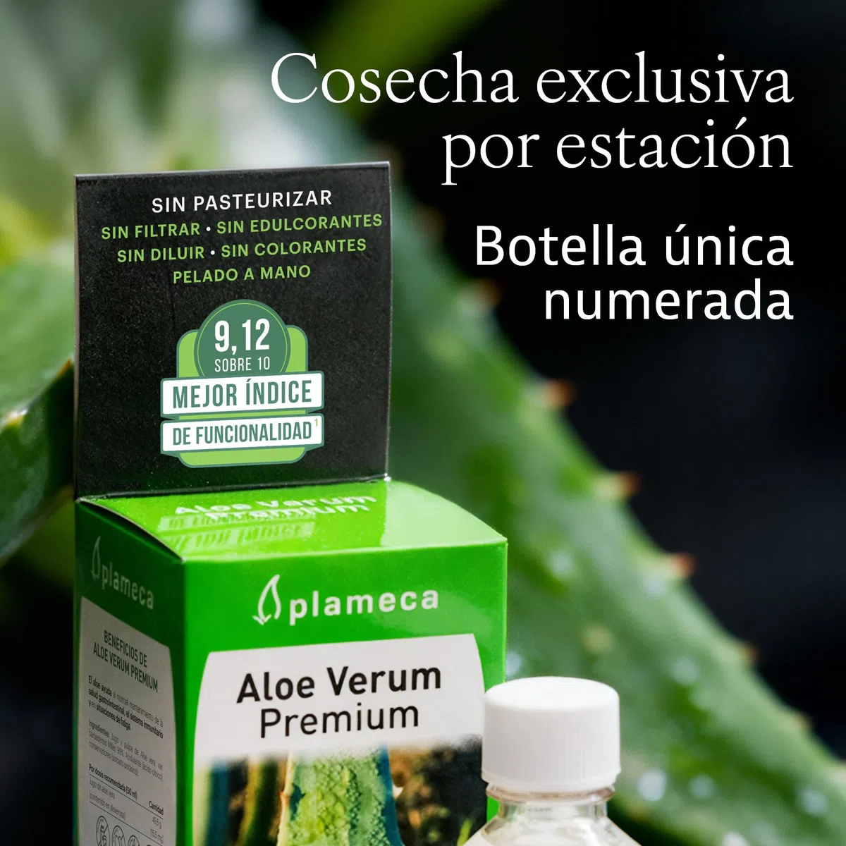 PLAMECA Aloe Verum Premium, Salud Gastrointestinal, Sistema Inmunitario y Situaciones de Fatiga, Jugo puro Aloe Vera con Pulpa y Sin Aloína, 1L