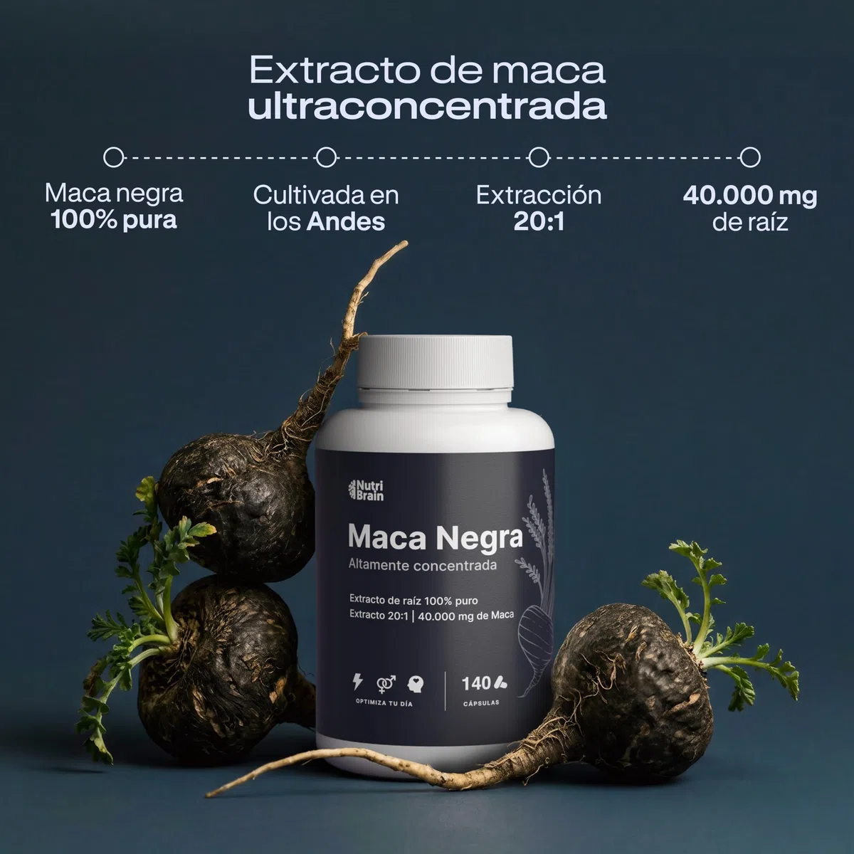 Maca Negra Peruana 100% Pura 32.000mg Ultraconcentrada Andina – Únicamente Maca Pura, SIN Ingredientes Adicionales Indeseados