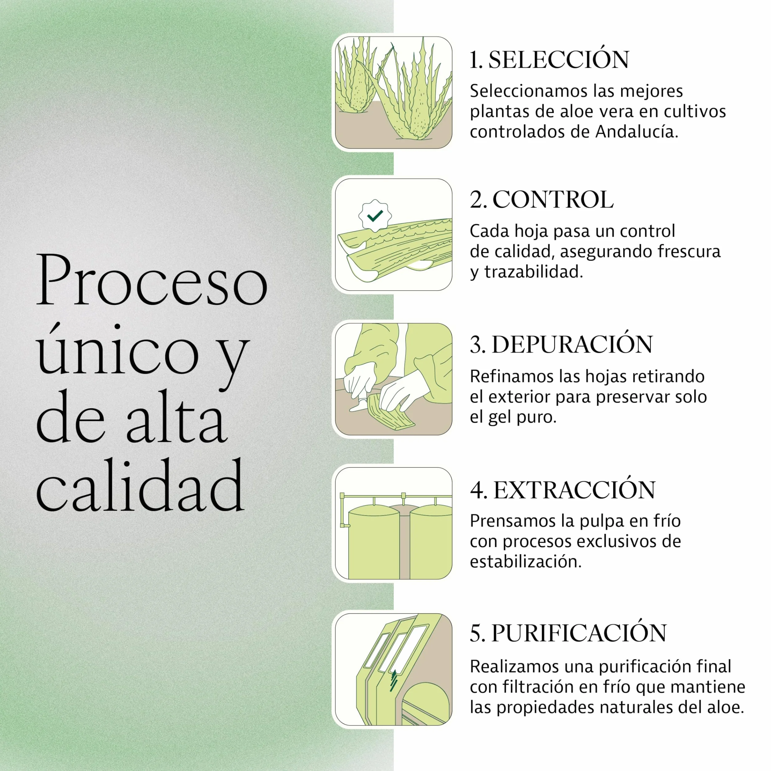 PLAMECA Aloe Verum Premium, Salud Gastrointestinal, Sistema Inmunitario y Situaciones de Fatiga, Jugo puro Aloe Vera con Pulpa y Sin Aloína, 1L