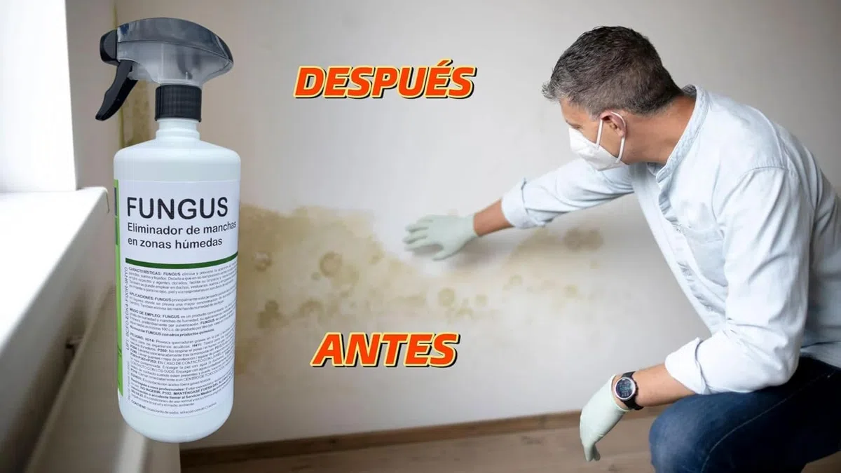 Eliminador de Manchas en Zonas Húmedas – Limpiador de Moho, Musgo y Hongos para Paredes, Baño, Techos y Superficies – Apto para Superficies Delicadas y Duras – Botella Pulverizadora de 1 Litro