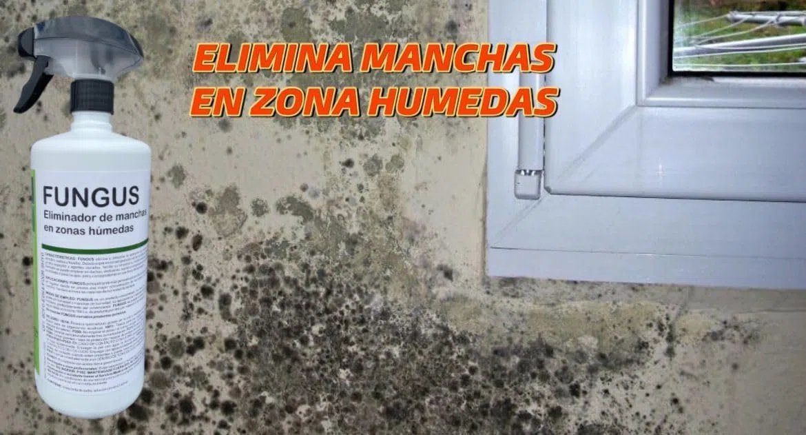 Eliminador de Manchas en Zonas Húmedas – Limpiador de Moho, Musgo y Hongos para Paredes, Baño, Techos y Superficies – Apto para Superficies Delicadas y Duras – Botella Pulverizadora de 1 Litro