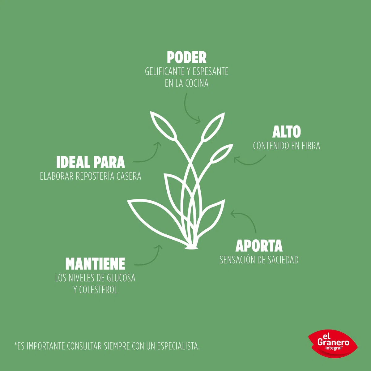 El Granero Integral - Psyllium BIO - 400 g - Superalimento Vegano - Alto Contenido en Fibra - Contribuye al Normal Funcionamiento Intestinal y Digestivo - Ayuda a Controlar el Peso