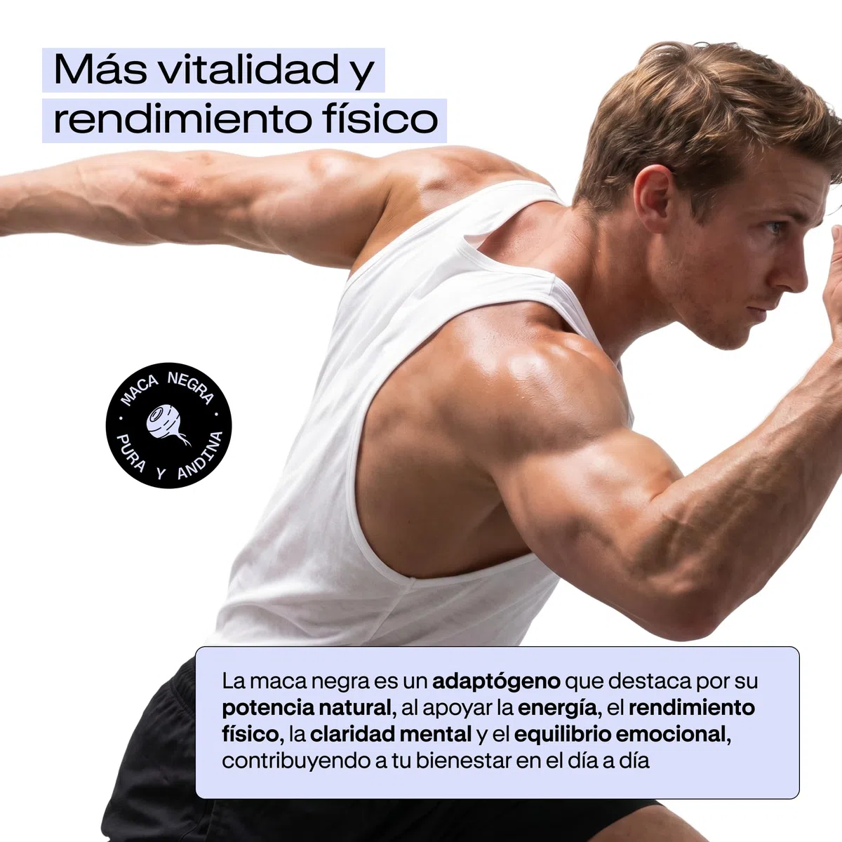 Maca Negra Peruana 100% Pura 32.000mg Ultraconcentrada Andina – Únicamente Maca Pura, SIN Ingredientes Adicionales Indeseados